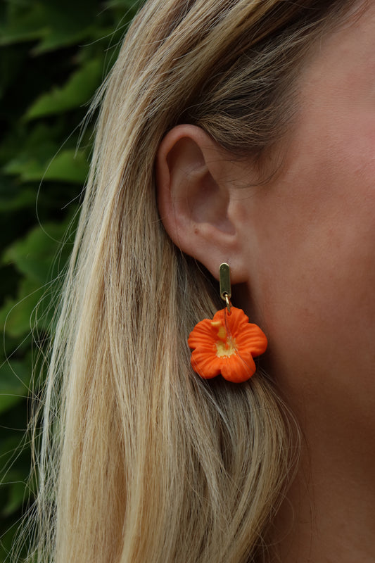 Baby Hibiscus pendantes orange vif