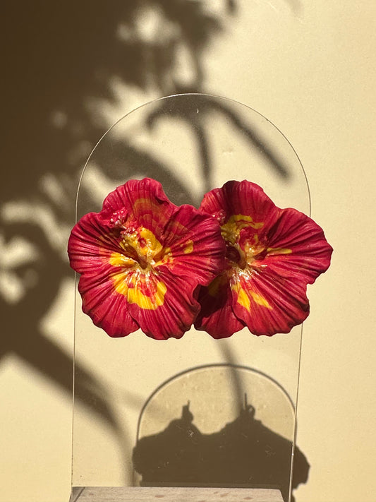 Mama Hibiscus sunset